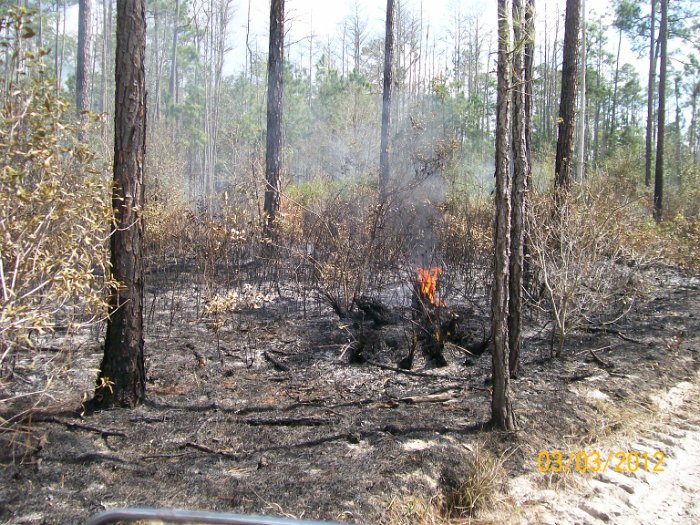 2012-Mar-03HGR4X4Richloam 138